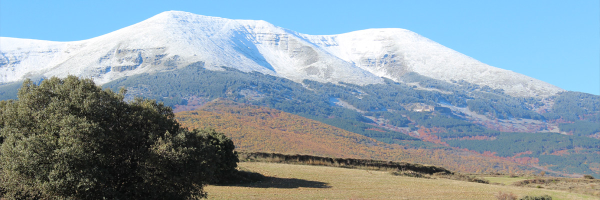 Parque Natural del Moncayo