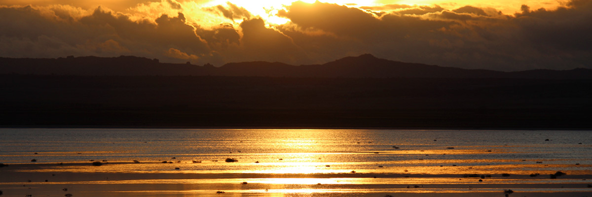 Reserva Natural de la Laguna de Gallocanta