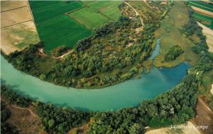 Reserva Natural de los Sotos y Galachos del Ebro