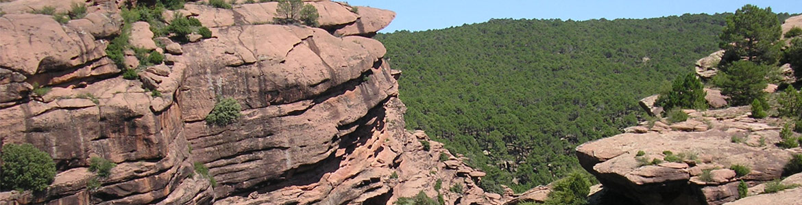 ESPACIO NATURAL ARAGON espacio natural aragon: