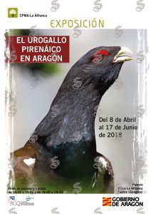 Cartel-exposicion-urogallo-18-2ma