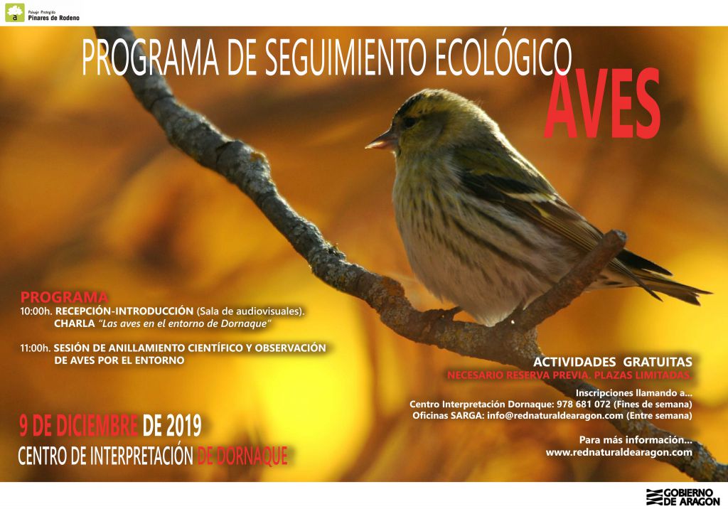 Cartel AVES 9 DICIEMBRE_def