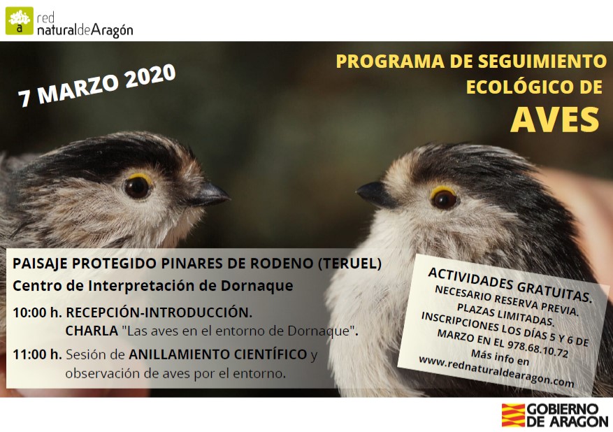 anillamiento 7marzo2020