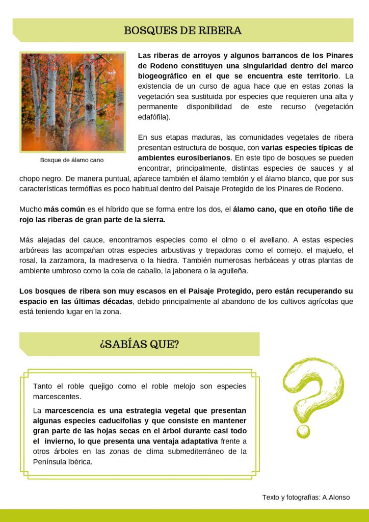 Bosques caducifolios del PP Pinares de Rodeno_Hoy hablamos de_page-0003
