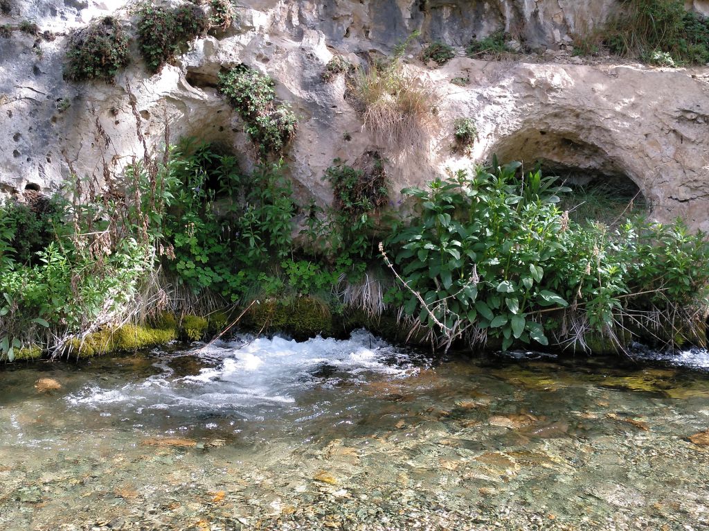 Uno de los ojos del nacimiento