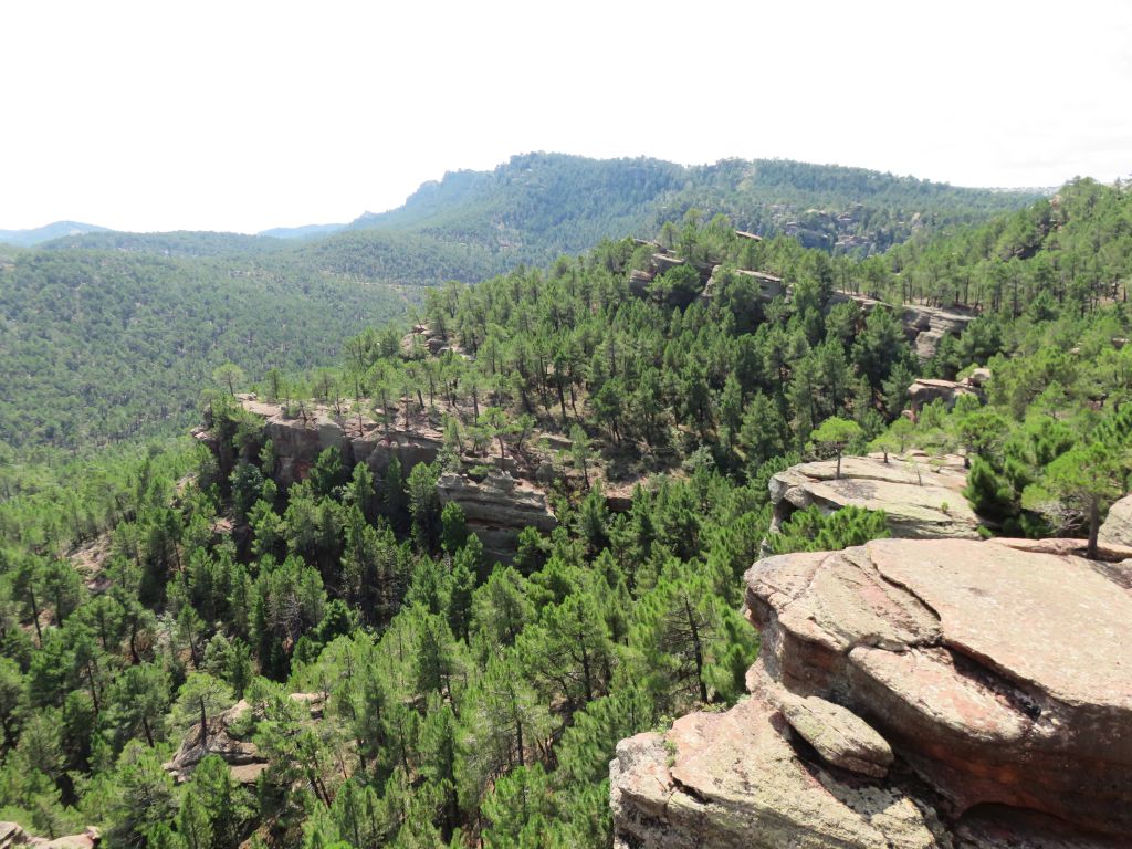 3. PAISAJE PROTEGIDO DE LOS PINARES DE RODENO_ Red Natural de Aragón