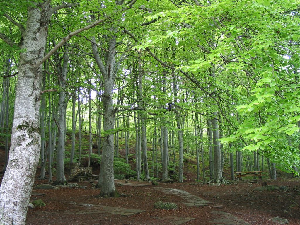 4. PARQUE NATURAL DEL MONCAYO_Red Natural de Aragón