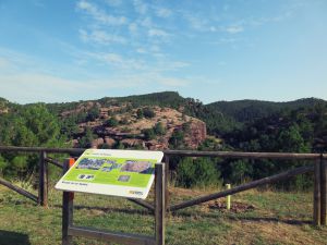 Paisaje Protegido de los Pinares de Rodeno_Red Natural de Aragón