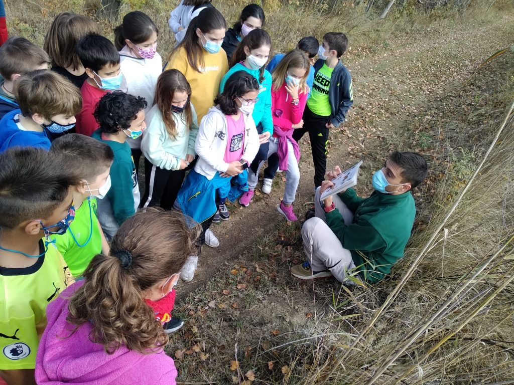 Actividad del programa PEZIS en La Alfranca