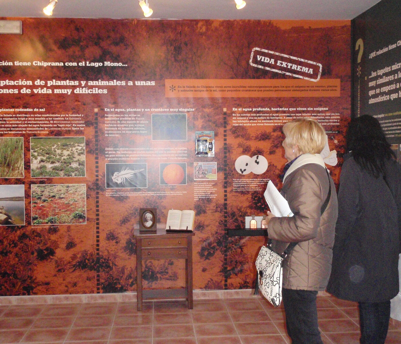 chiprana-(1) chiprana-(1)