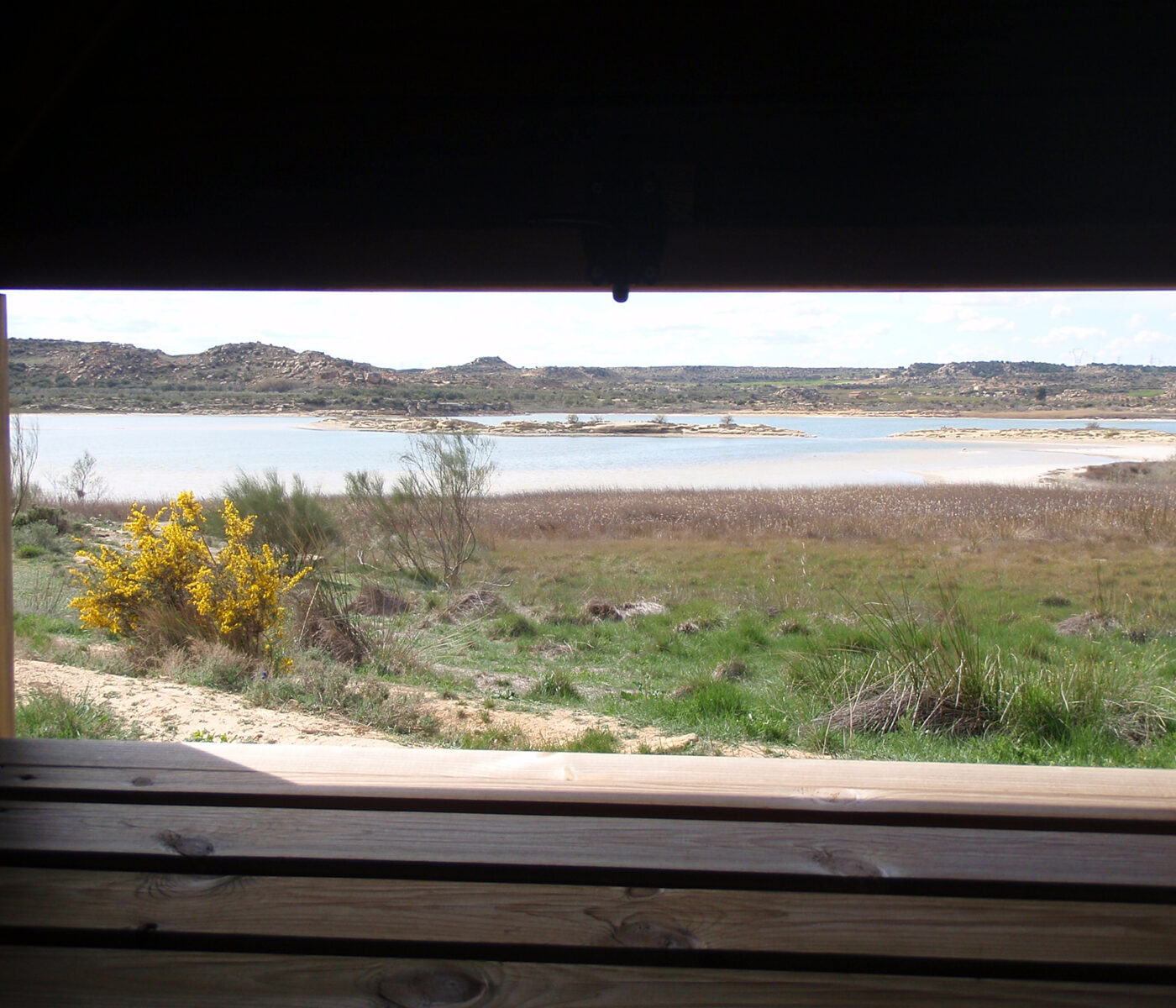 chiprana-(2) chiprana-(2)