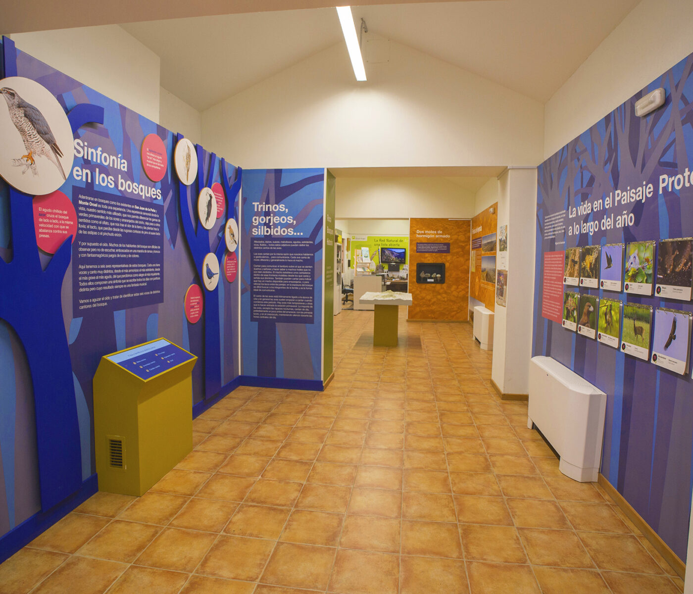 8_SAN JUAN DE LA PEÑA 8_SAN JUAN DE LA PEÑA