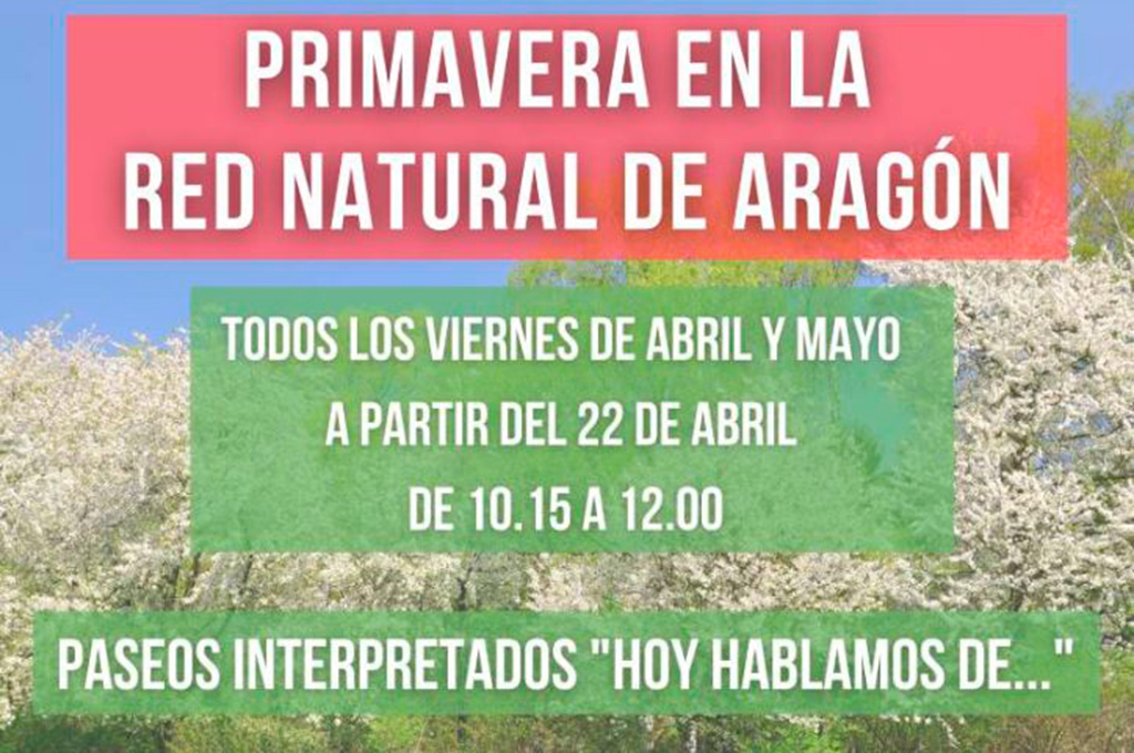 Cartel anunciador viernes primavera