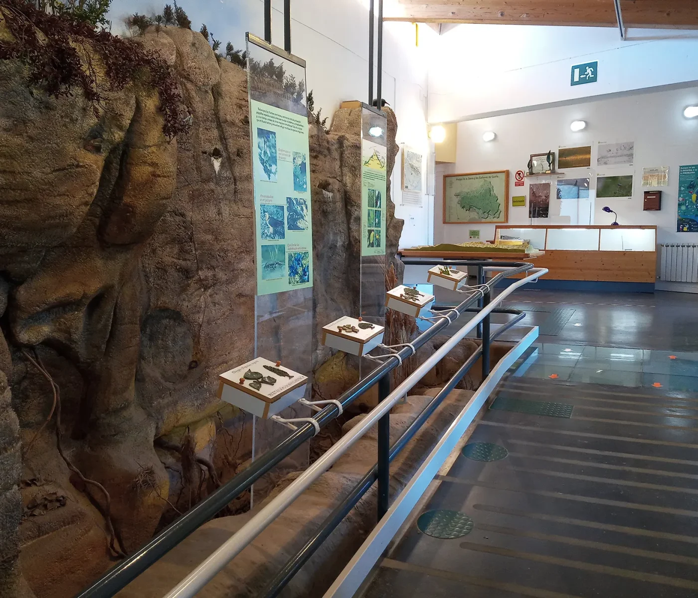 20210320_103717 20210320_103717