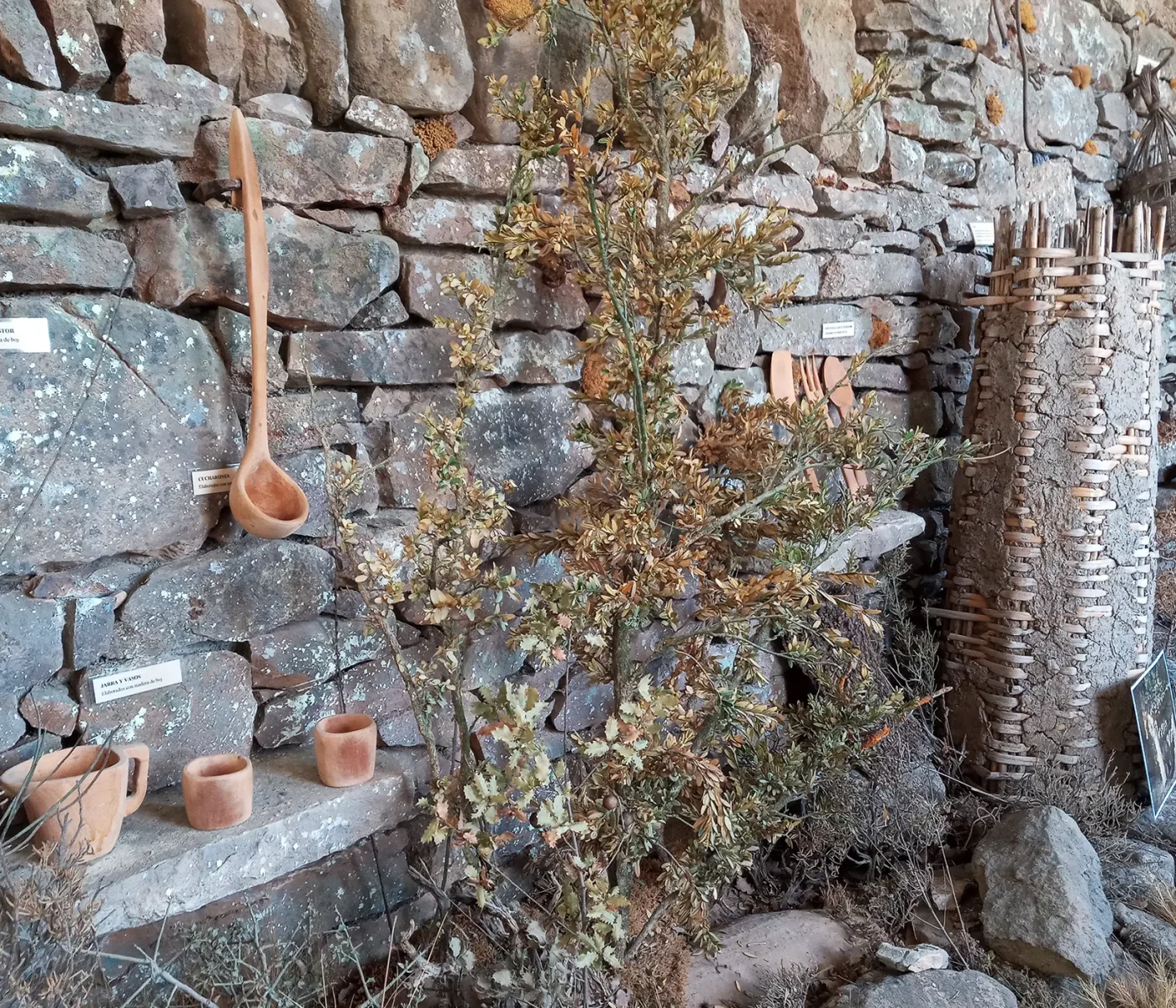 20210320_104019 20210320_104019