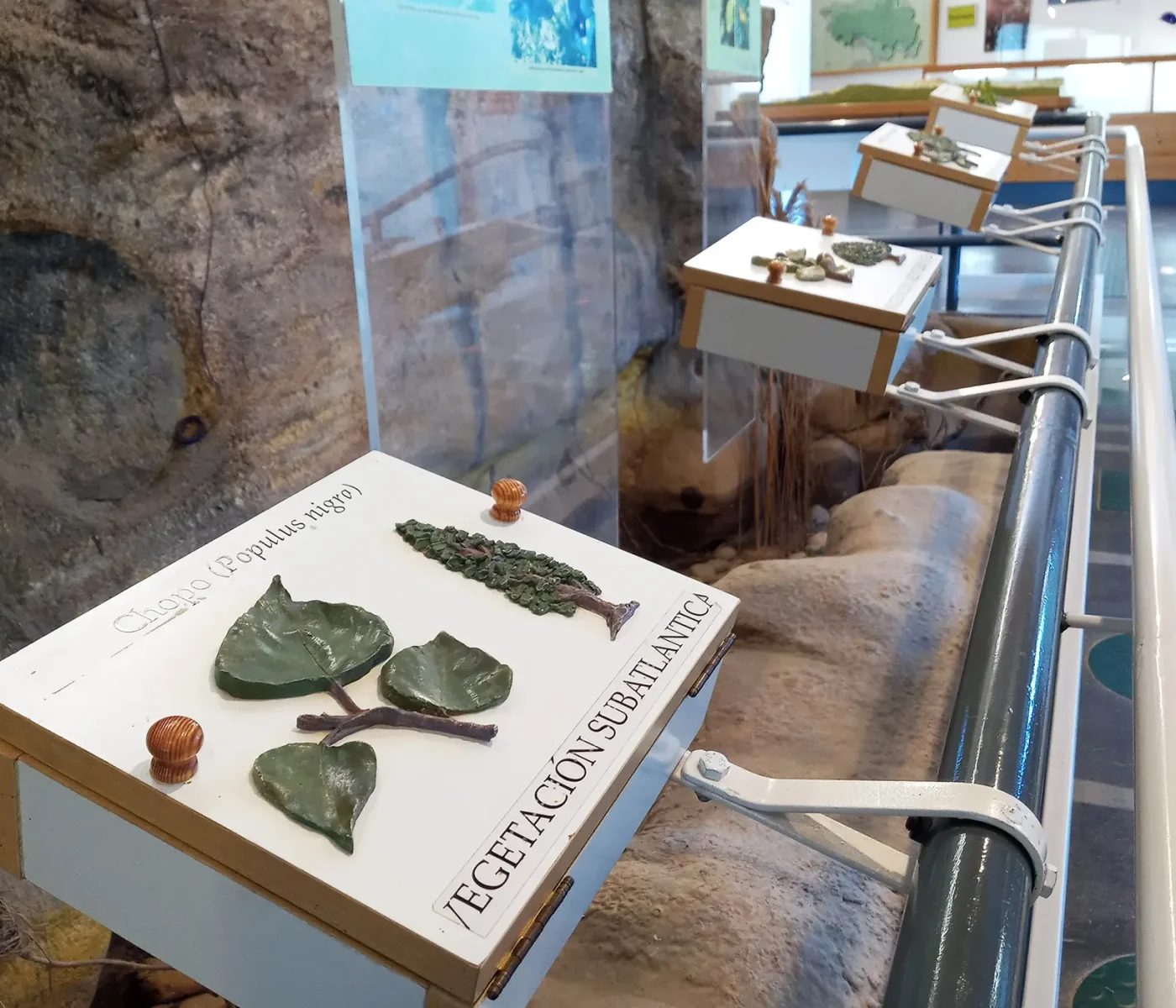 20210320_104702 20210320_104702