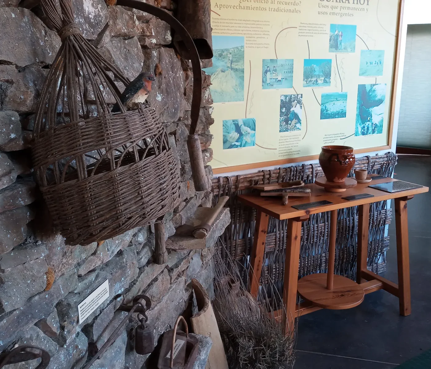 20210320_104905 20210320_104905