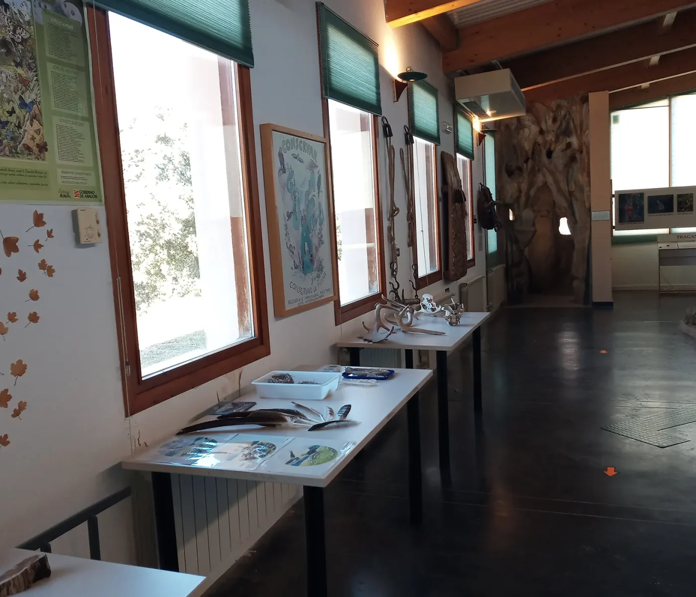 20210320_105003 20210320_105003