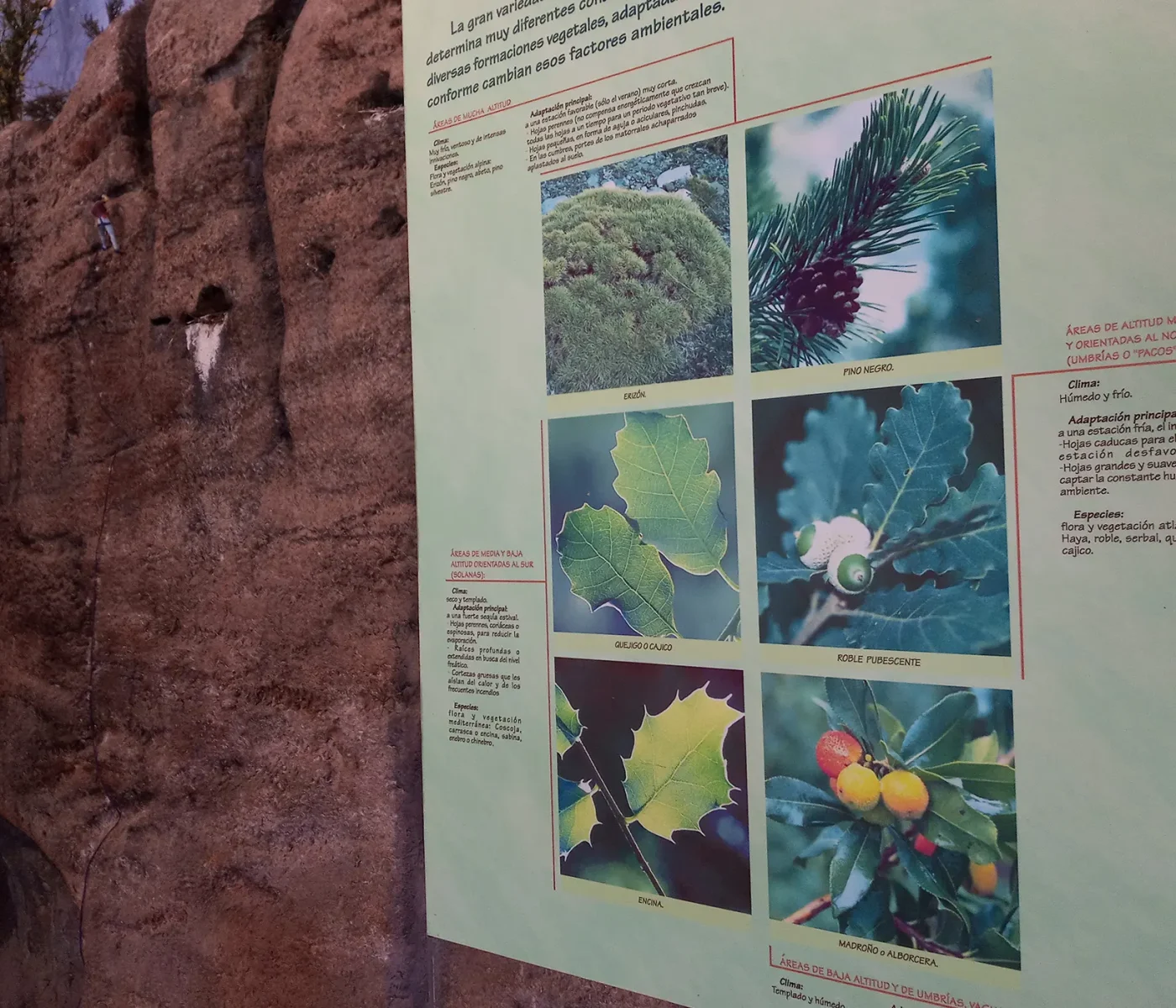 20210320_110035 20210320_110035