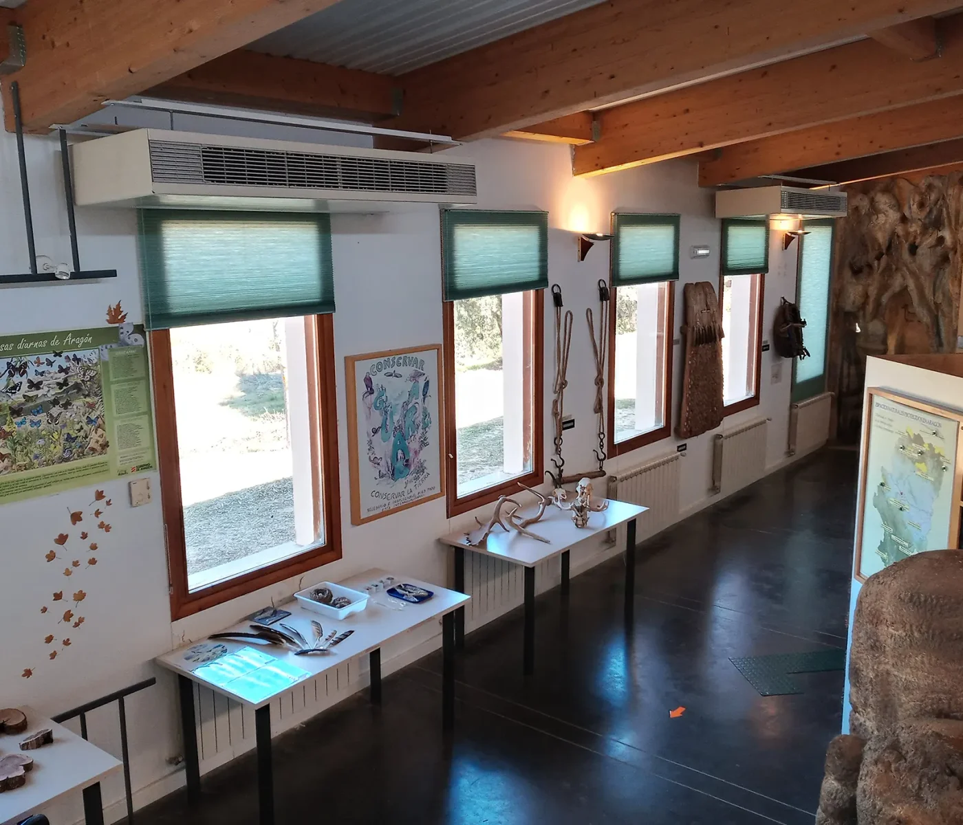 20210320_110101_HDR 20210320_110101_HDR