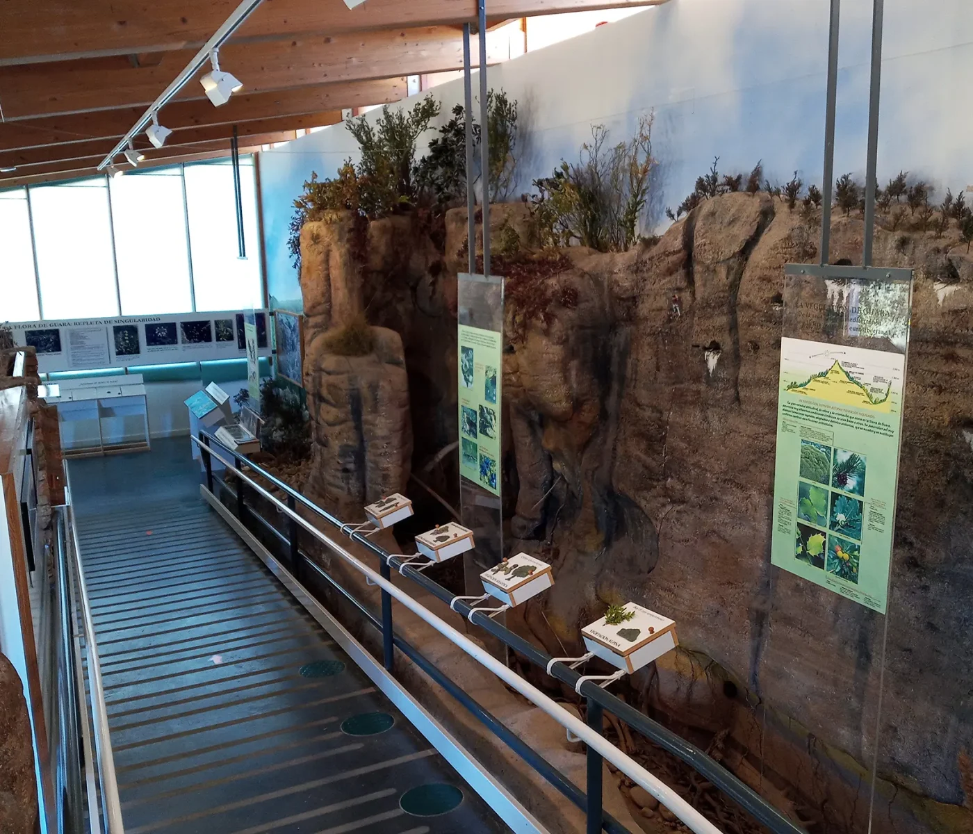 20210320_110108 20210320_110108