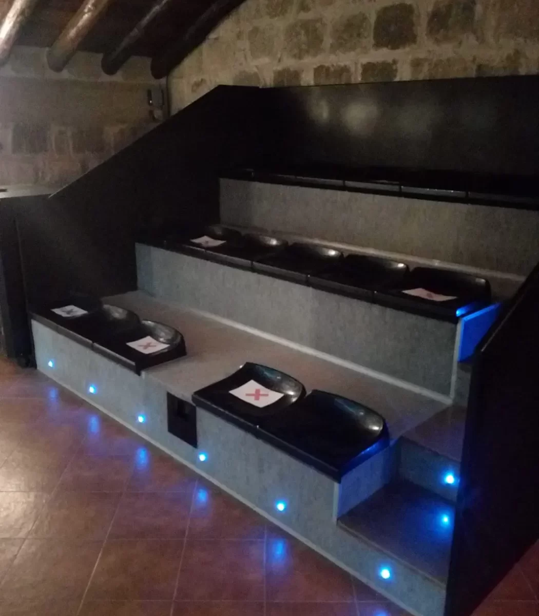 IMG-20210412-WA0008 IMG-20210412-WA0008