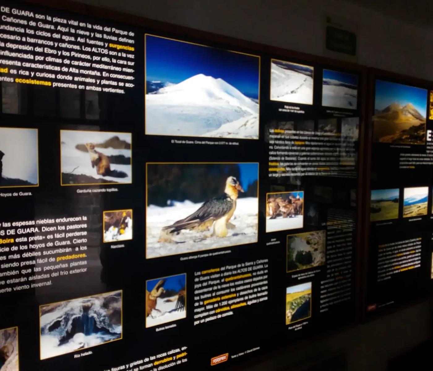 IMG-20210412-WA0012 IMG-20210412-WA0012