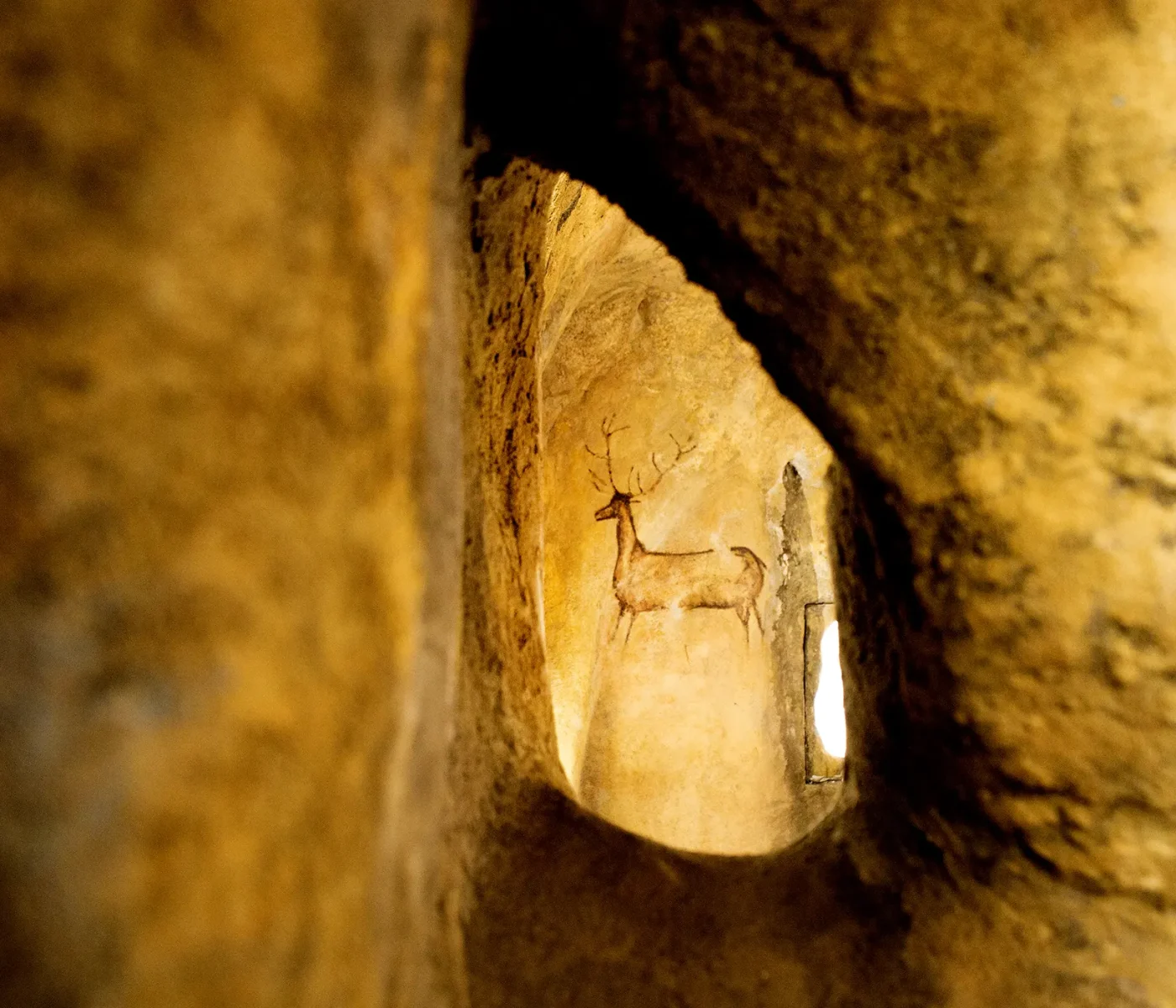 Centro de Interpretación de Bierge. Parque Natural de la Sierra y Cañiones de Guara. Red Natural de Aragón Centro de Interpretación de Bierge. Parque Natural de la Sierra y Cañiones de Guara. Red Natural de Aragón