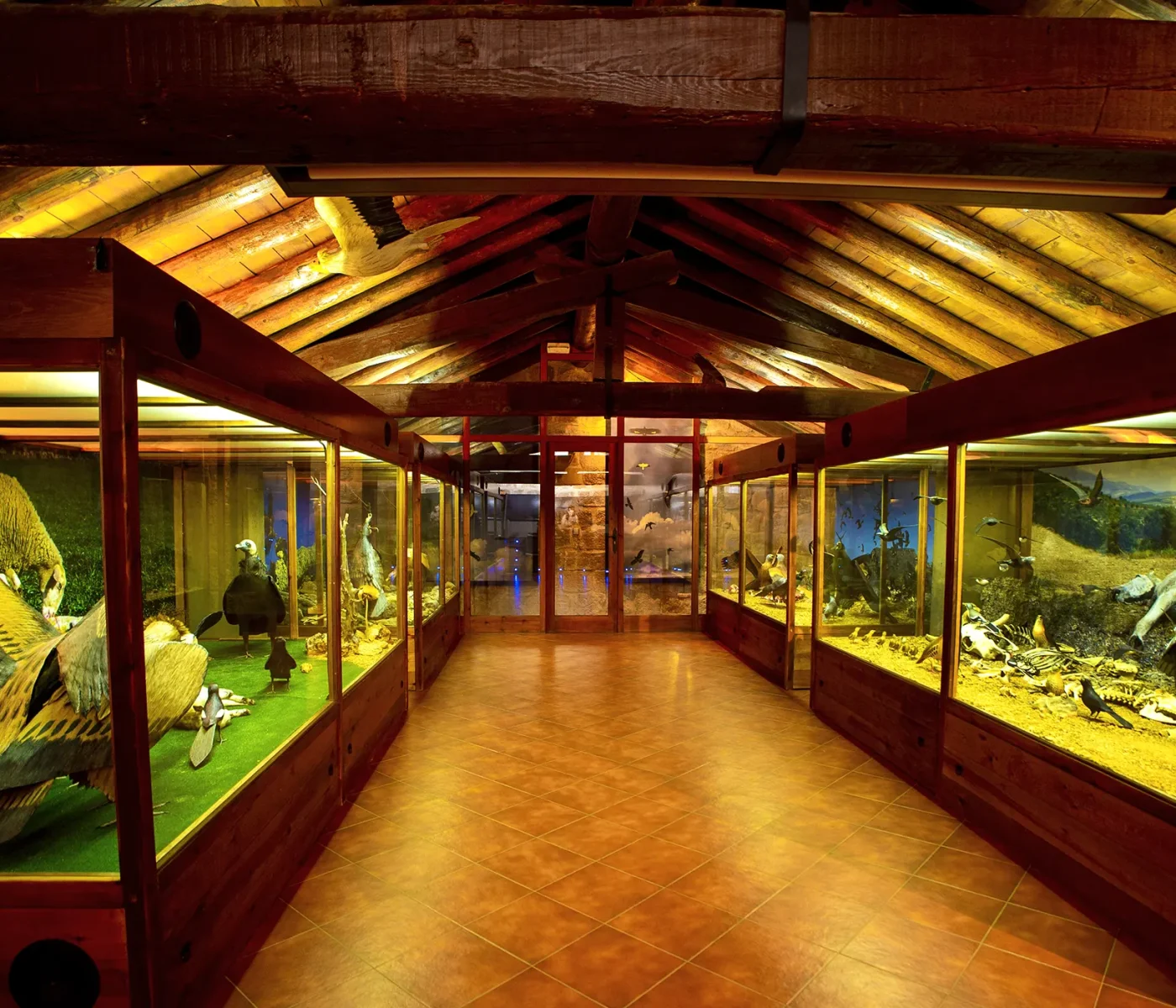 IMG_4226 copia IMG_4226 copia