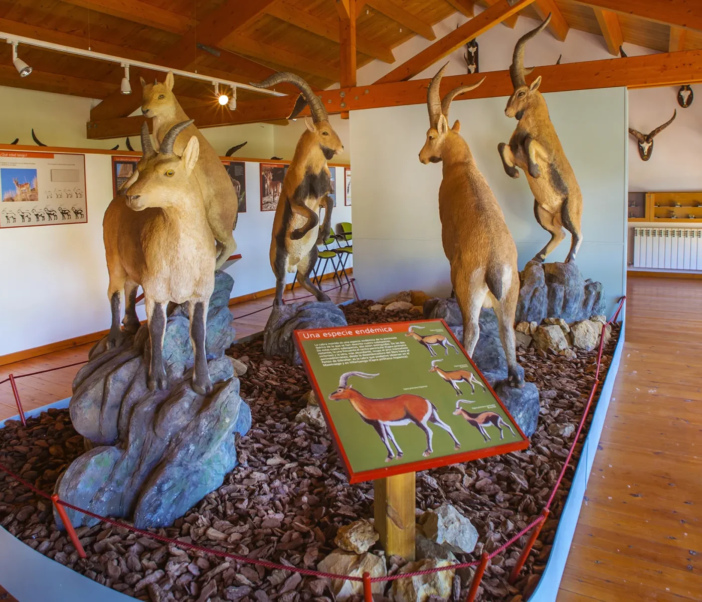 Centro de Interpretación de Villarluengo. Red Natural de Aragón Centro de Interpretación de Villarluengo. Red Natural de Aragón