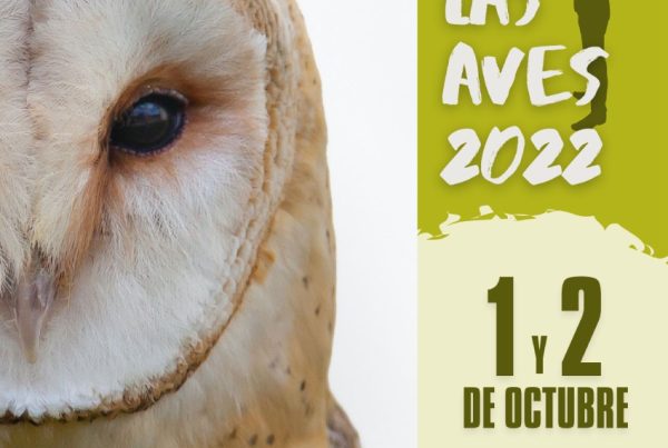 CARTEL DÍA DE LAS AVES ARAGÓN 2022