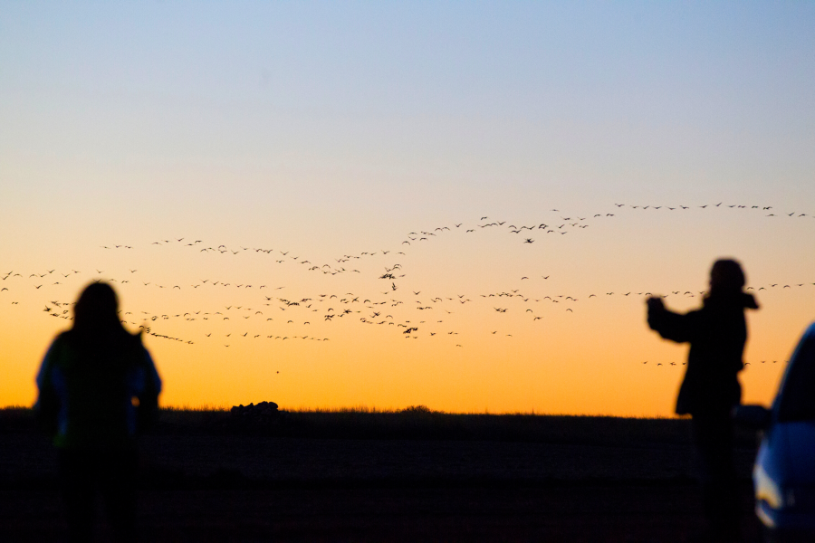 De Ruta con las grullas es una de las actividades más populares de la Red Natural