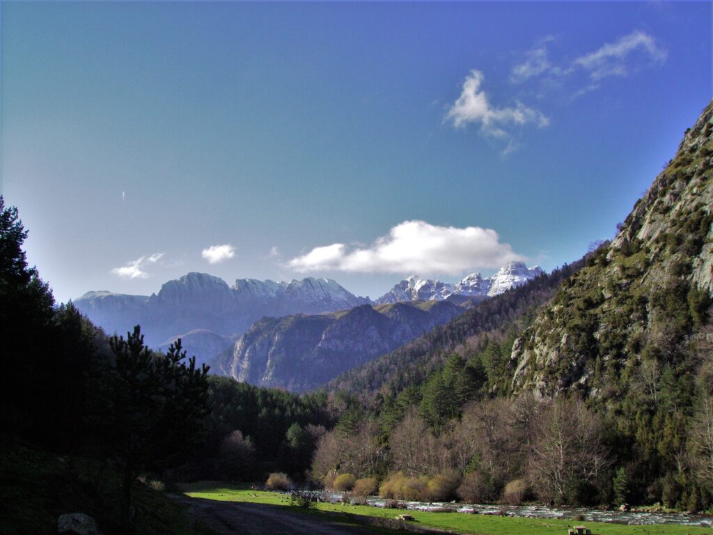 Bosques de los Valles Occidentales