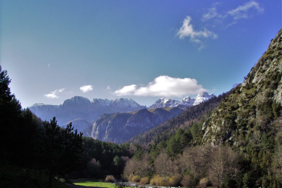 Bosques de los Valles Occidentales