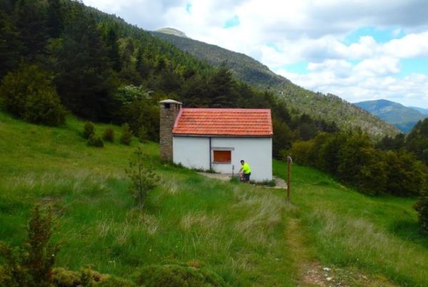 Refugio fenales